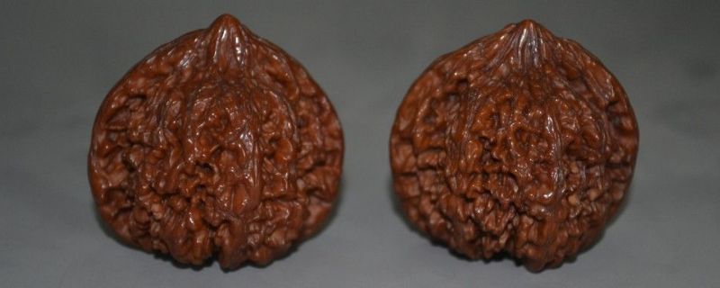 官帽核桃怎么盤紅