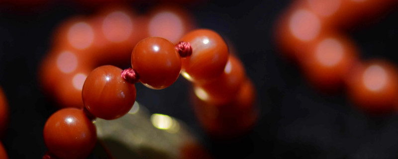 紅珊瑚怎么保養(yǎng)才能讓它亮