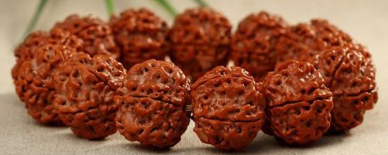 不沉水的金剛能盤紅嗎