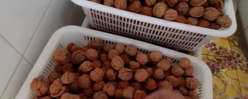 核桃如何把玩包漿快