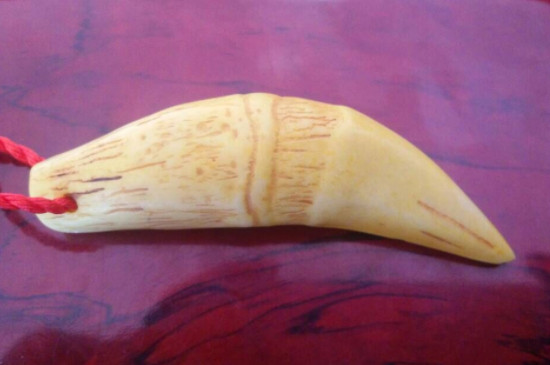 老虎牙怎么保養(yǎng)及盤玩