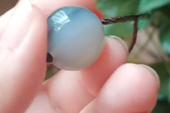 玉髓玻璃種和高冰怎么區(qū)分