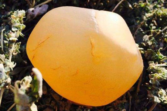 新疆金絲玉和和田玉的區(qū)別