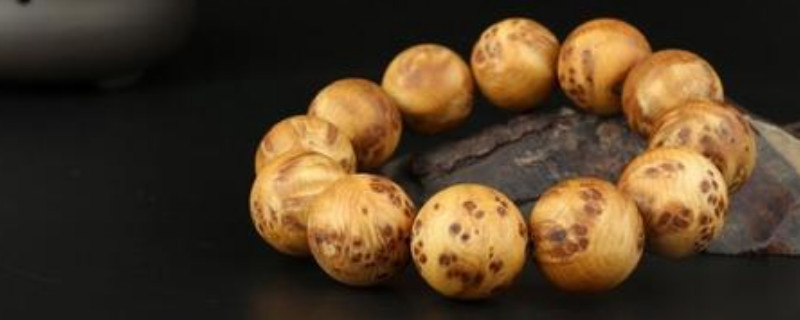 崖柏手串為什么是松樹味