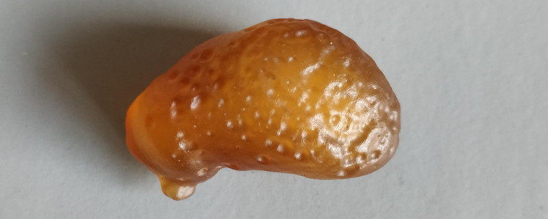 瑪瑙石有什么功效作用