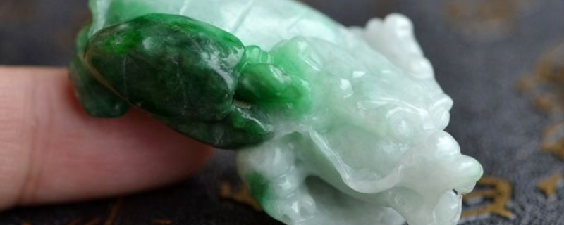 男人佩戴龍頭龜?shù)慕?><em class=