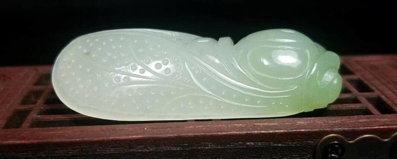 青海料為什么越戴越難看