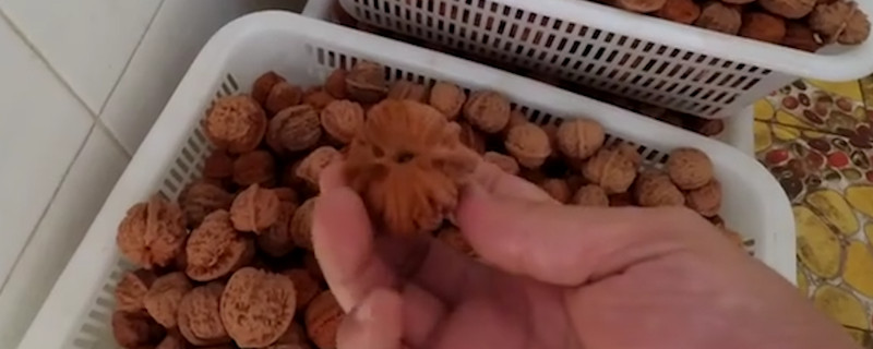 核桃快速包漿偏方