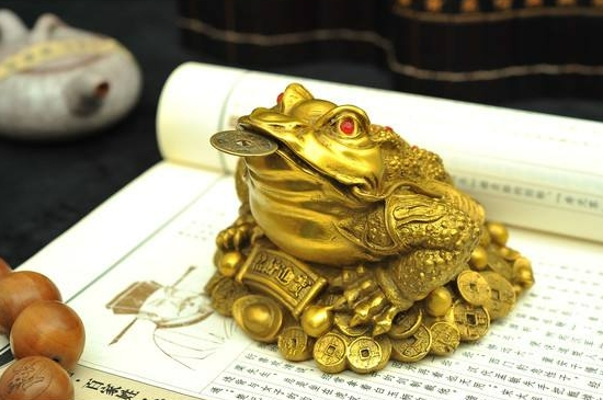 什么屬相家里不能擺金蟾