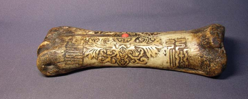 虎骨怎么辨別真假