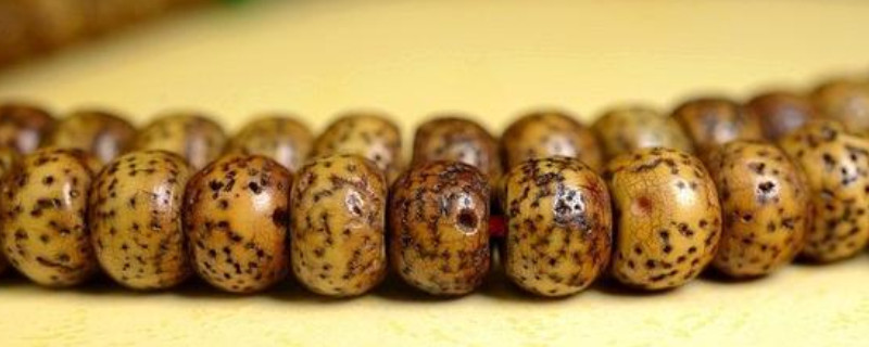 新買(mǎi)的星月菩提怎么玩