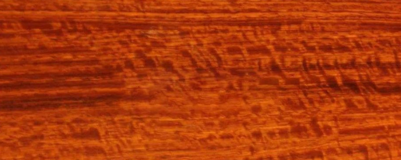 鳥足紫檀與大果紫檀的區(qū)別