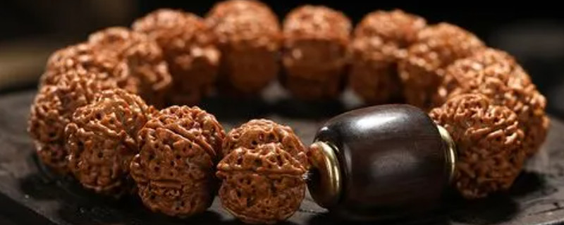 大金剛菩提怎么盤玩