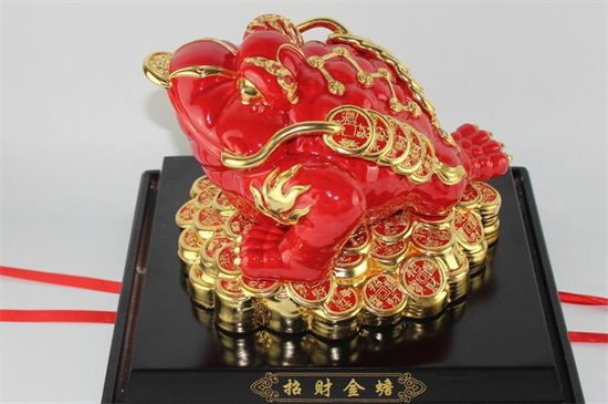 不想要的金蟾怎么處理，金蟾的正確處理方法