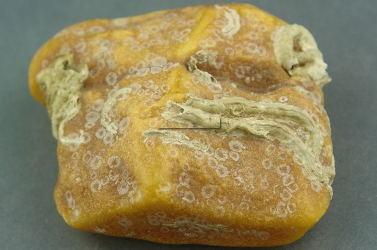 帶皮的蜜蠟原石怎么辨別真假