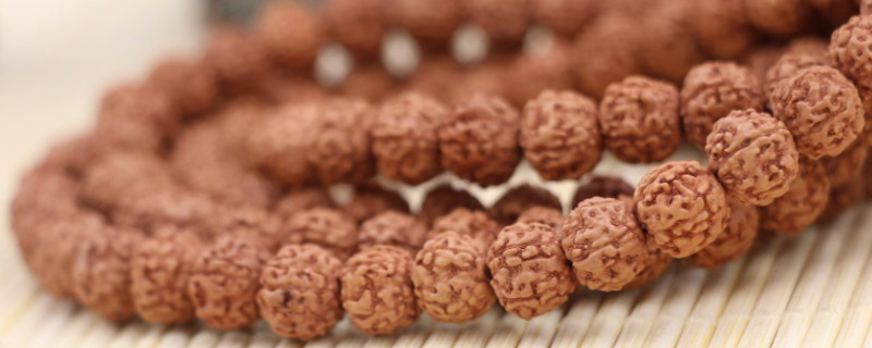 金剛藥籽是什么