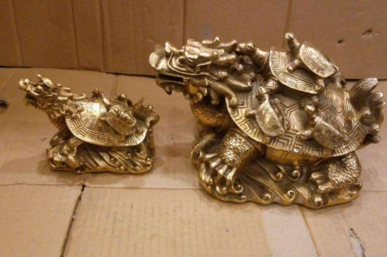 家里為什么不能擺龍龜