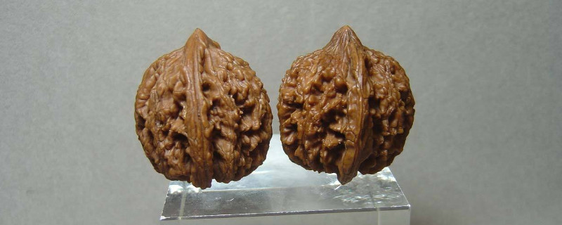 文玩核桃臟了怎么清洗