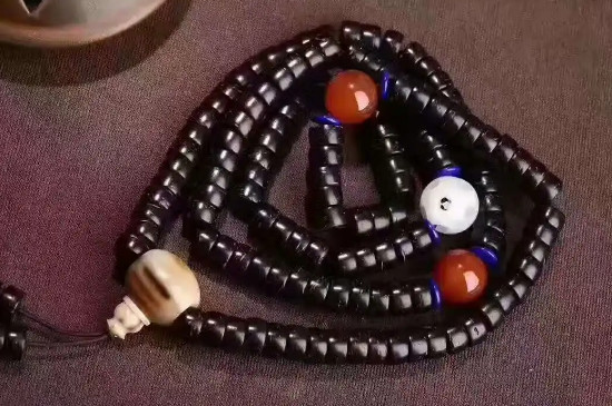 椰蒂的作用與寓意