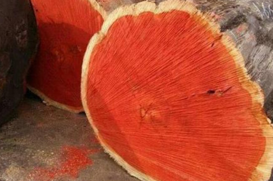 非洲紫檀和小葉紫檀的對(duì)比