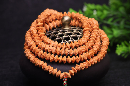 金葉菩提怎么盤玩