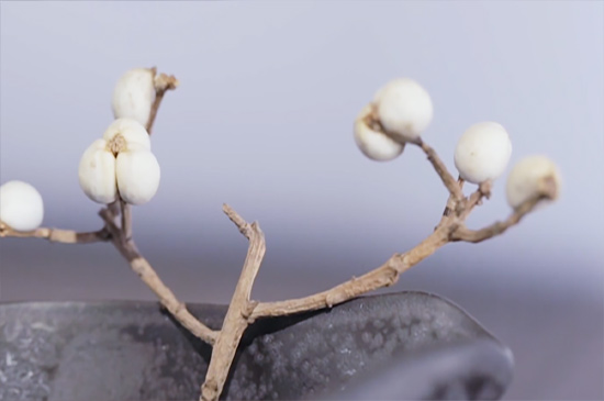 檀香木的功效與作用