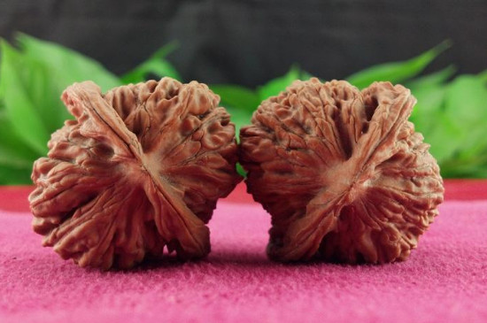 新手盤核桃盤什么品種