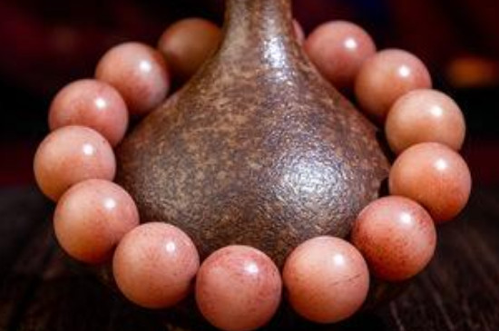 駱駝骨和虎骨的區(qū)別