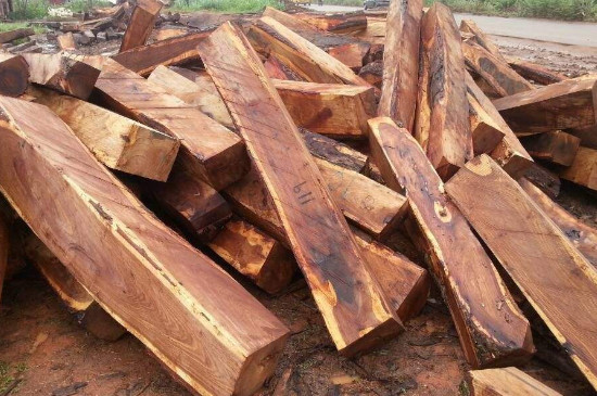 刺猬紫檀是什么木材