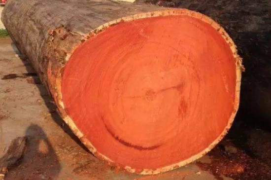 紅花梨是哪里產(chǎn)的