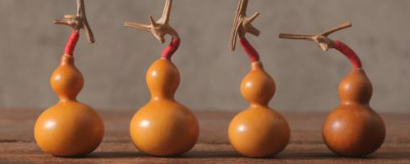 小葫蘆的龍頭修剪步驟