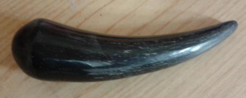 牛角盤玩后會玉化嗎