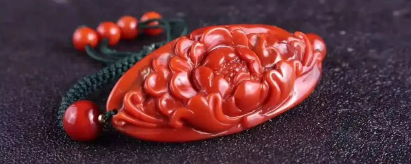 珊瑚分幾種