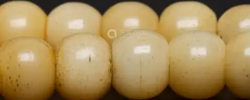 駝骨和虎骨的蝌蚪紋區(qū)別