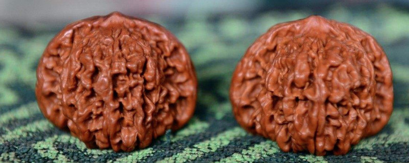 核桃5年只刷不盤會有什么結(jié)果?