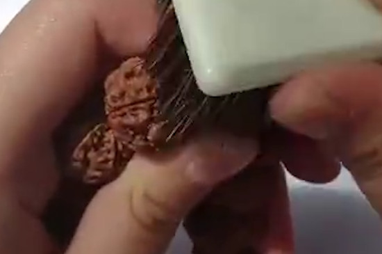 金剛菩提的正確盤(pán)玩法