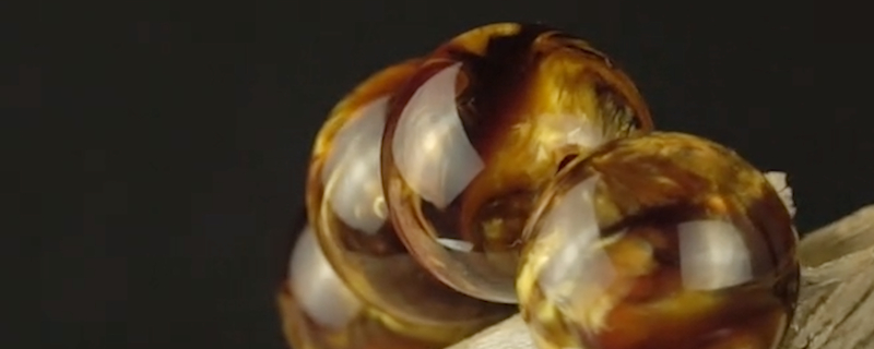 金絲海柳手串 真假對比