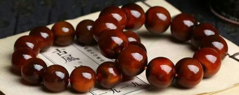 滿血山龜甲手串的好處