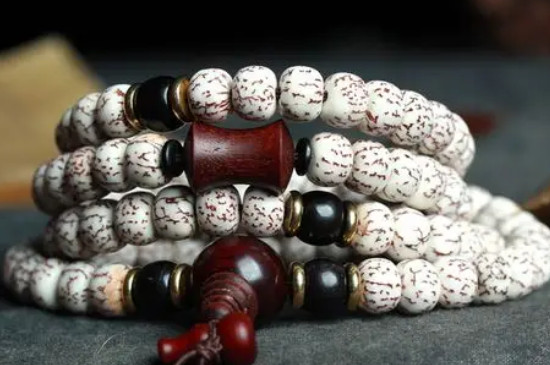 血絲菩提需要盤嗎