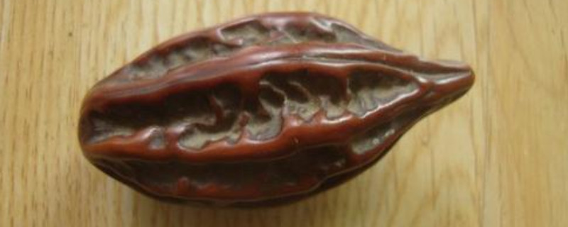 手盤核桃的功效與作用