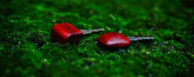 科檀和小葉紫檀的區(qū)別