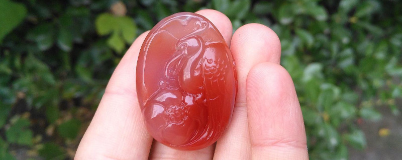 南紅荔枝凍和白瑪瑙怎么區(qū)分