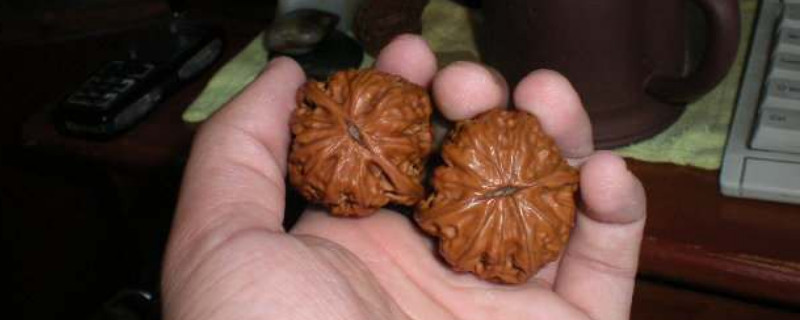 文玩核桃怎樣快速包漿