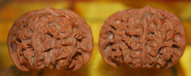 桃獅子頭種類(lèi)