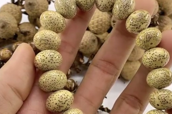 星月菩提綠幽靈怎么盤