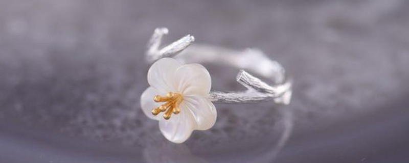 硨磲怎么保養(yǎng)