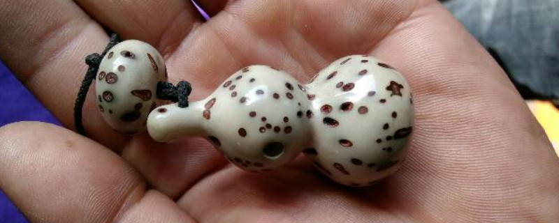 血絲菩提的寓意是什么