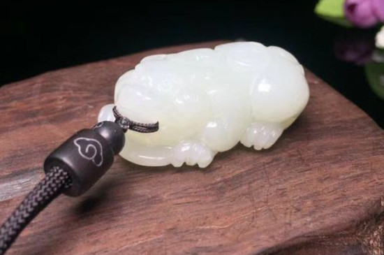 貔貅認(rèn)到了主人有什么表現(xiàn)
