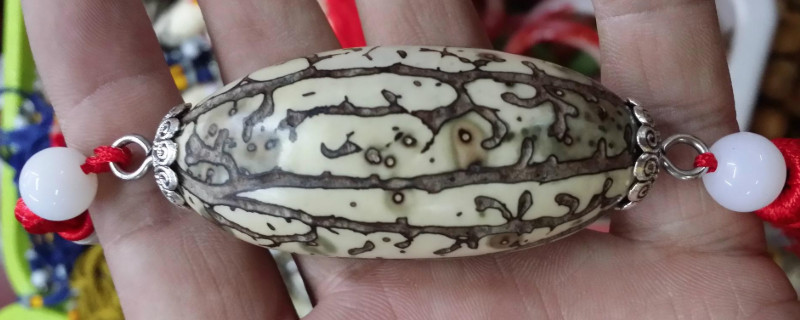 千眼菩提原籽開出彩色的
