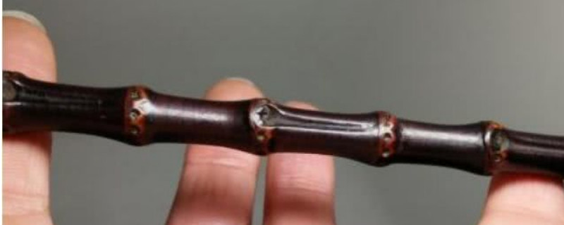 文玩竹子上什么保養(yǎng)油